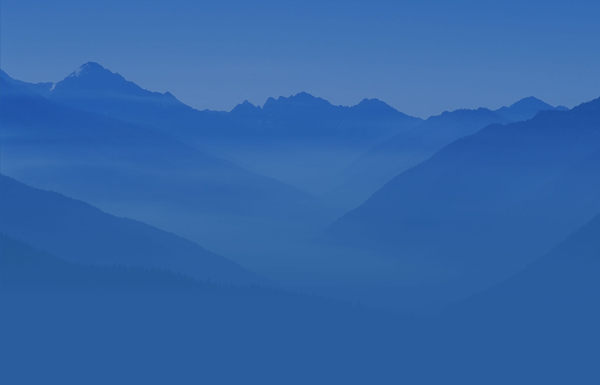 bonus bg
