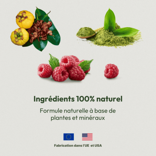 Brûleur de Graisses Naturel | VitalBurn – Image 3